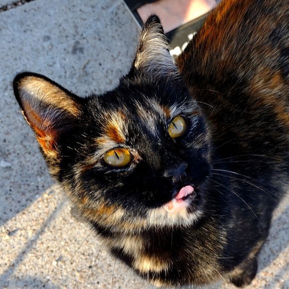 Offers Accepted! - Picture 1 of 5